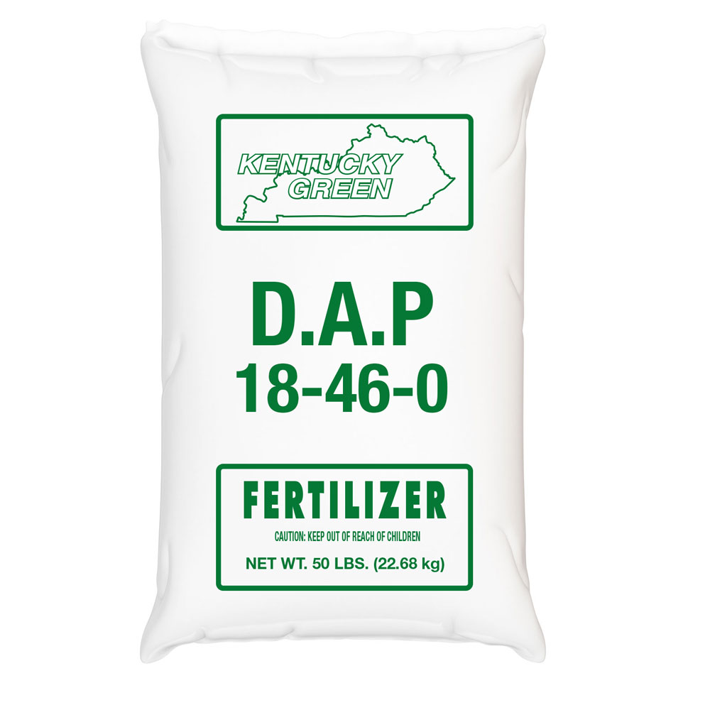 DAP Fertilizer